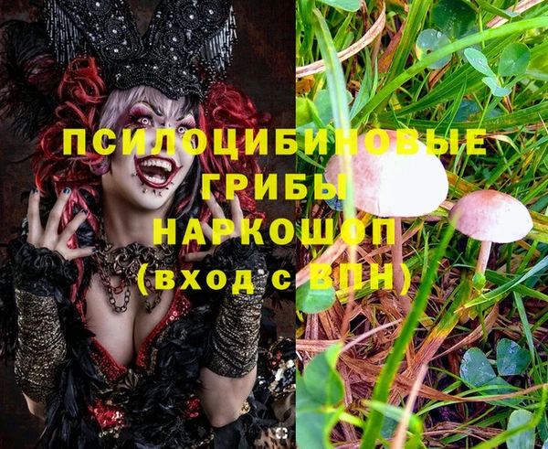 ALPHA PVP Аркадак